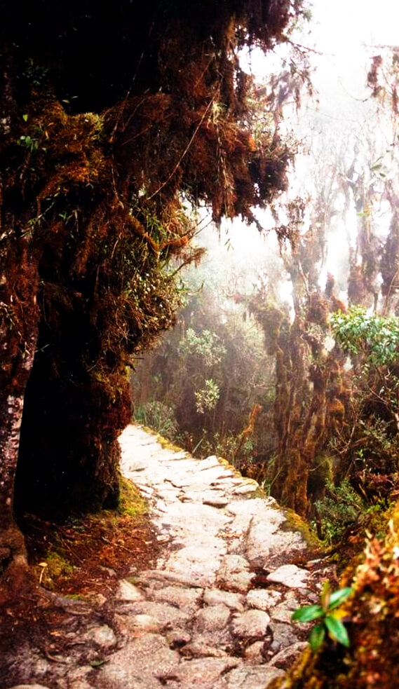 Classic Inca Trail To Machu Picchu